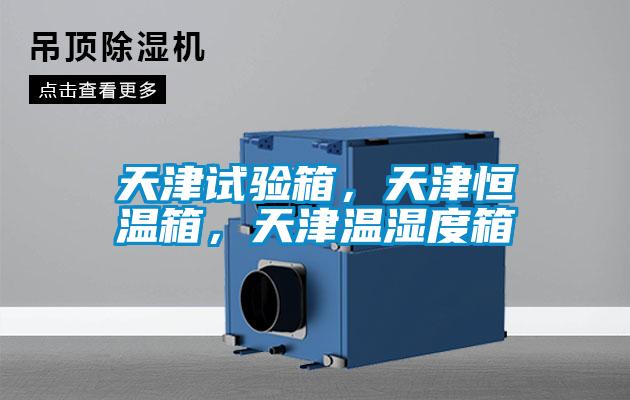 天津試驗箱，天津恒溫箱，天津溫濕度箱