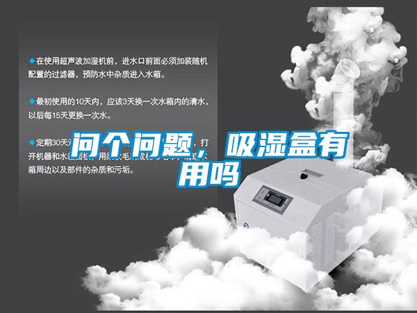 問個問題,吸濕盒有用嗎