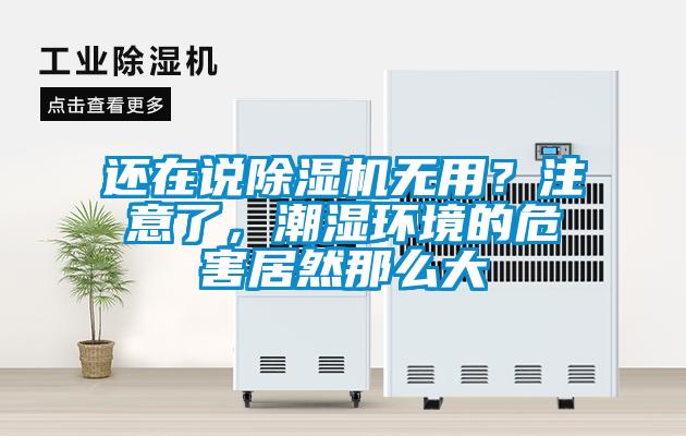 還在說除濕機無用?注意了,潮濕環境的危害居然那么大