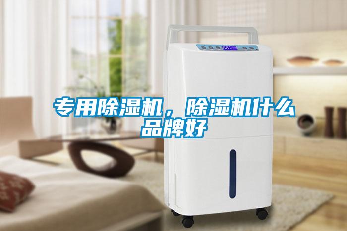 專用除濕機，除濕機什么品牌好