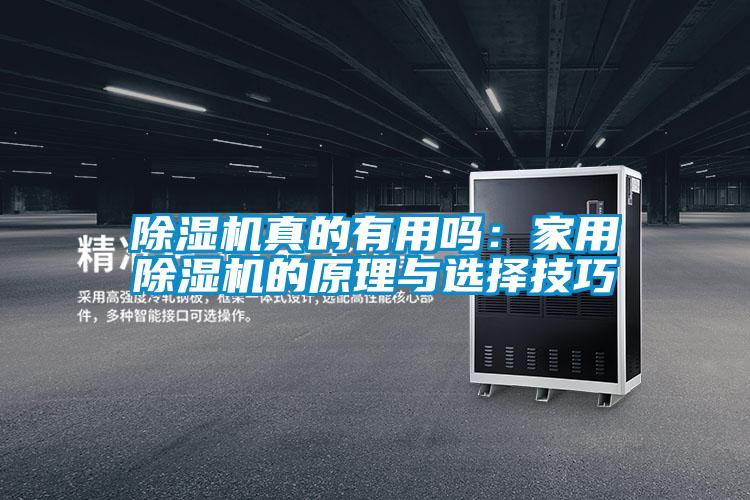 除濕機(jī)真的有用嗎:家用除濕機(jī)的原理與選擇技巧