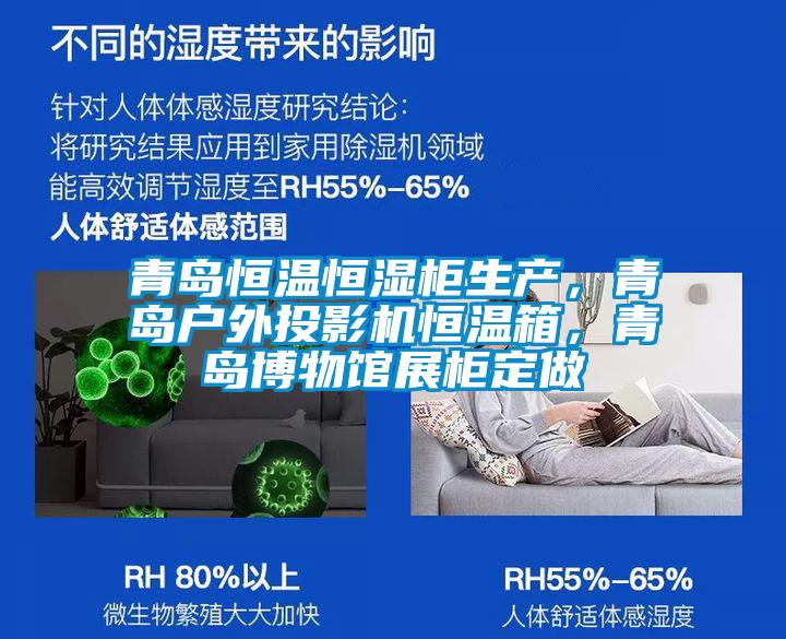 青島恒溫恒濕柜生產，青島戶外投影機恒溫箱，青島博物館展柜定做