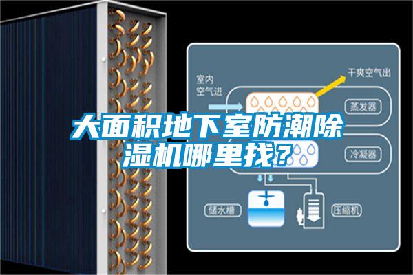 大面積地下室防潮除濕機哪里找？