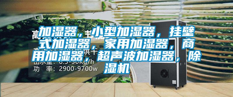 加濕器，小型加濕器，掛壁式加濕器，家用加濕器，商用加濕器，超聲波加濕器，除濕機