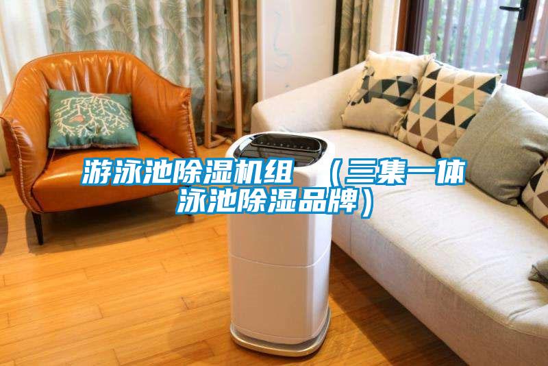 游泳池除濕機組 (三集一體泳池除濕品牌)