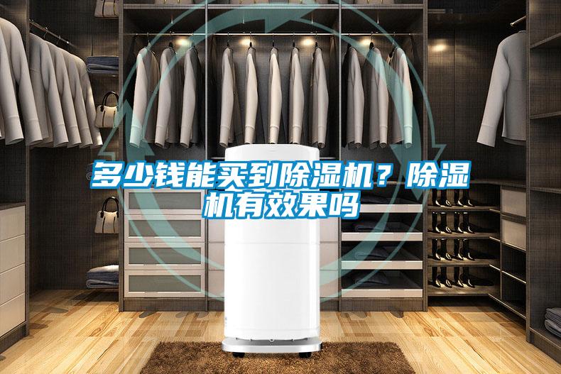 多少錢能買到除濕機?除濕機有效果嗎