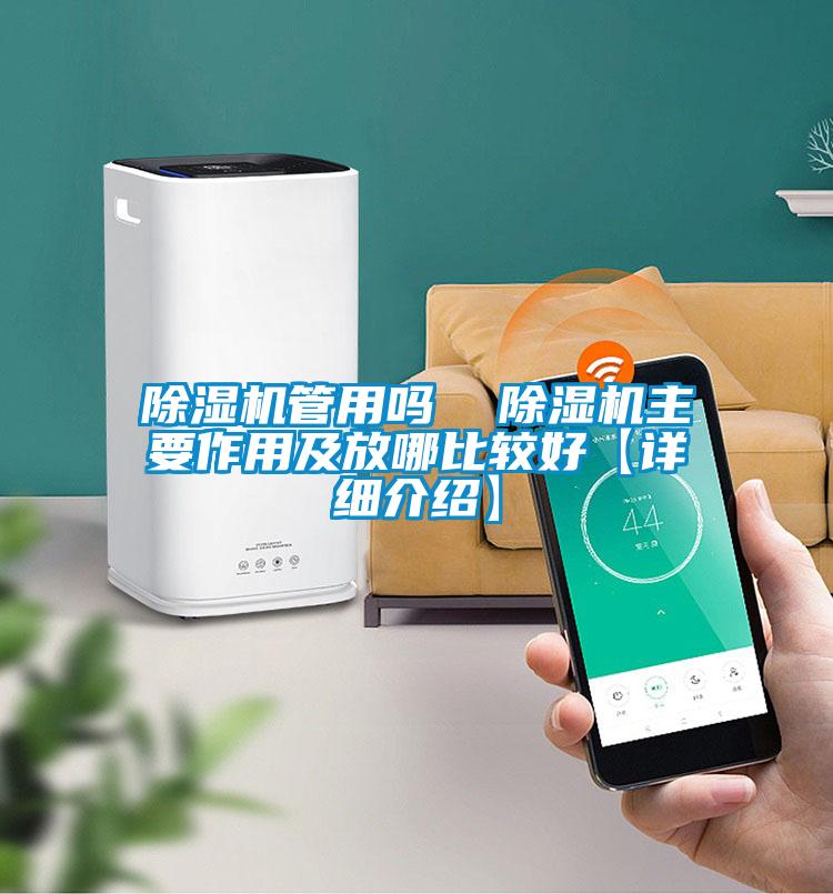 除濕機(jī)管用嗎 除濕機(jī)主要作用及放哪比較好【詳細(xì)介紹】
