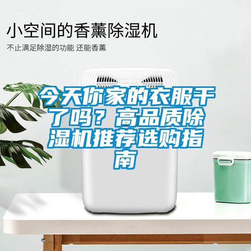 今天你家的衣服干了嗎？高品質除濕機推薦選購指南