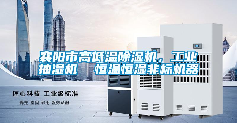 襄陽市高低溫除濕機，工業抽濕機  恒溫恒濕非標機器