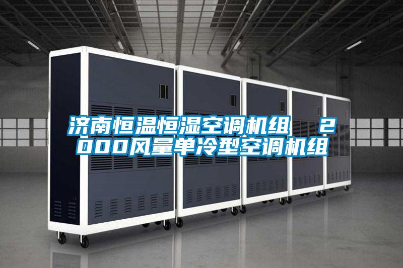 濟南恒溫恒濕空調(diào)機組 2000風(fēng)量單冷型空調(diào)機組