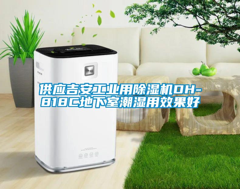 供應吉安工業(yè)用除濕機DH-818C地下室潮濕用效果好