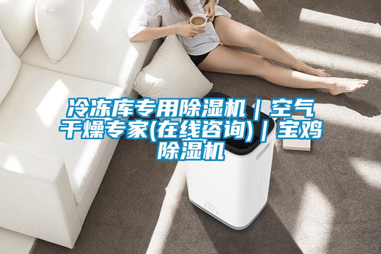 冷凍庫專用除濕機|空氣干燥專家(在線咨詢)|寶雞除濕機