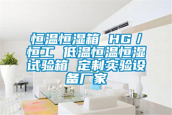 恒溫恒濕箱 HG/恒工 低溫恒溫恒濕試驗箱 定制實驗設(shè)備廠家