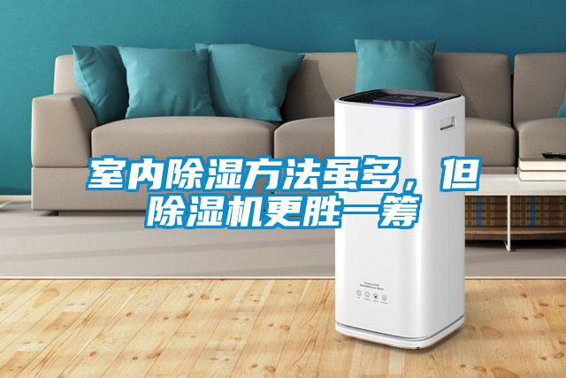 室內(nèi)除濕方法雖多,但除濕機(jī)更勝一籌