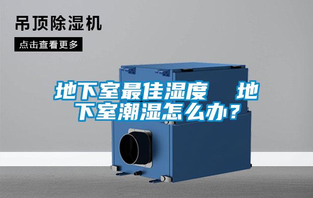 地下室最佳濕度  地下室潮濕怎么辦？