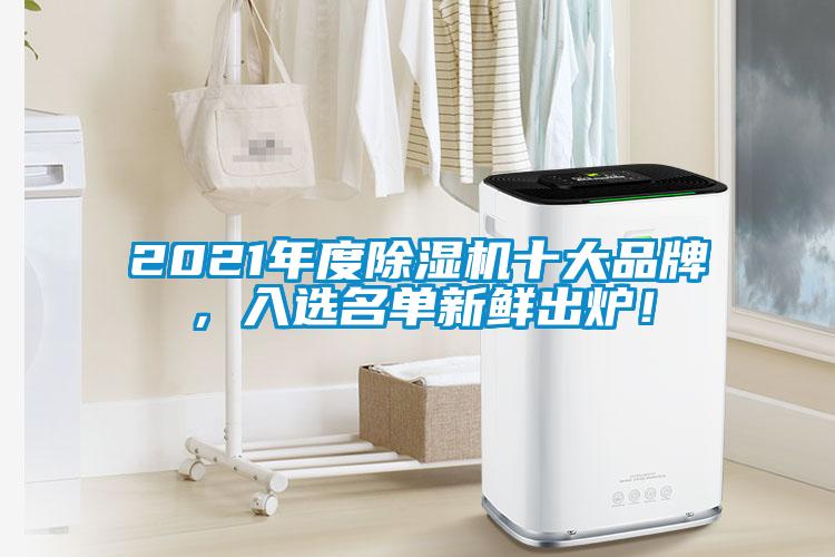 2021年度除濕機十大品牌，入選名單新鮮出爐！