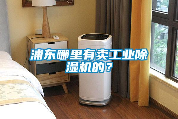 浦東哪里有賣工業(yè)除濕機(jī)的？