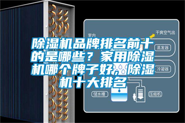 除濕機品牌排名前十的是哪些？家用除濕機哪個牌子好，除濕機十大排名
