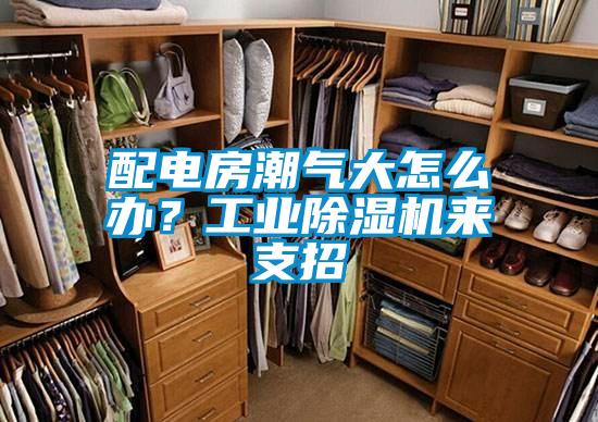 配電房潮氣大怎么辦？工業(yè)除濕機(jī)來(lái)支招