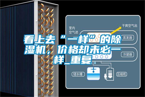 看上去“一樣”的除濕機，價格卻未必一樣_重復