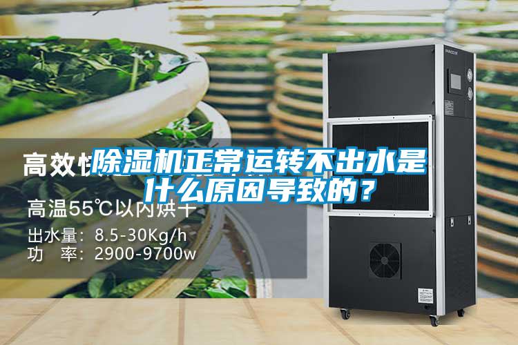 除濕機正常運轉不出水是什么原因導致的?