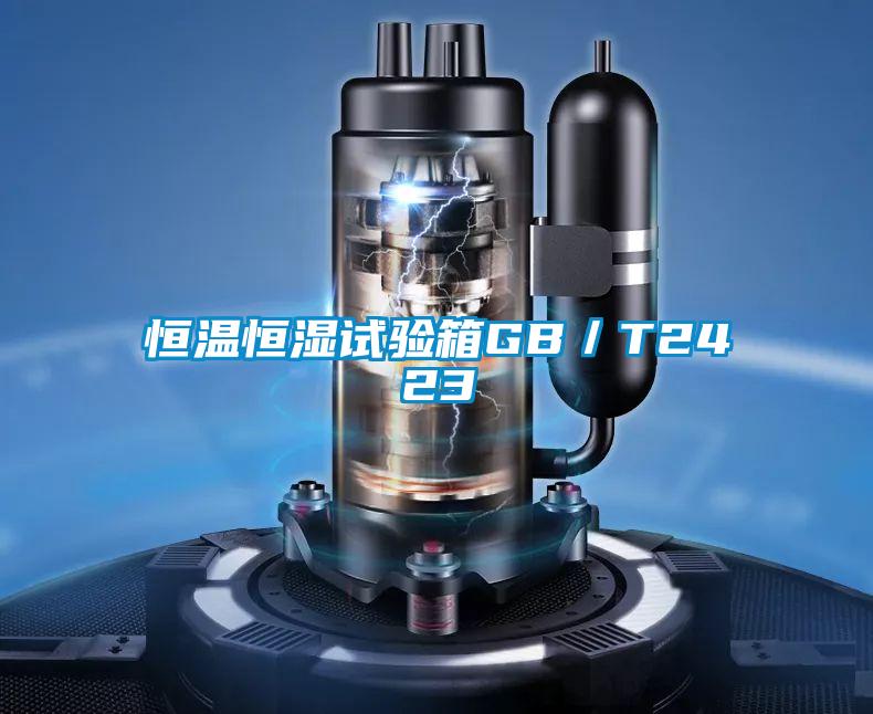 恒溫恒濕試驗箱GB/T2423