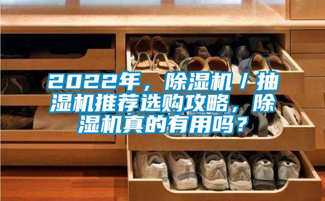 2022年,除濕機/抽濕機推薦選購攻略,除濕機真的有用嗎?