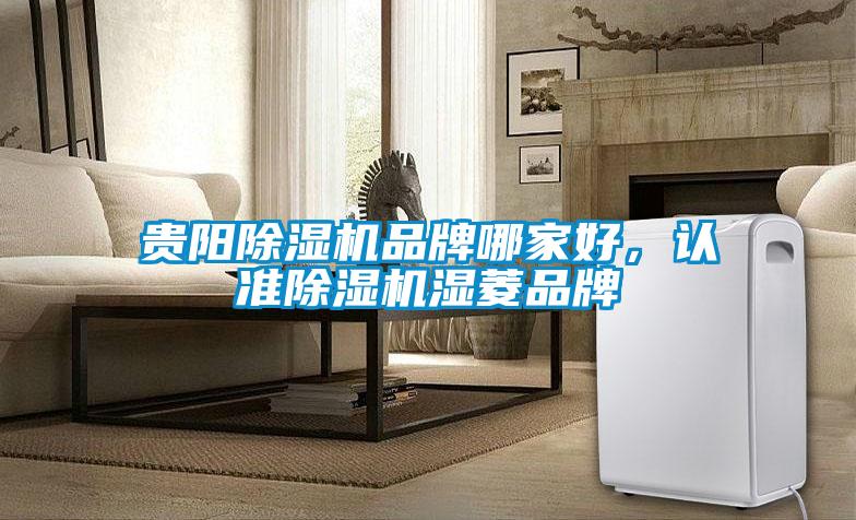 貴陽除濕機(jī)品牌哪家好,認(rèn)準(zhǔn)除濕機(jī)濕菱品牌