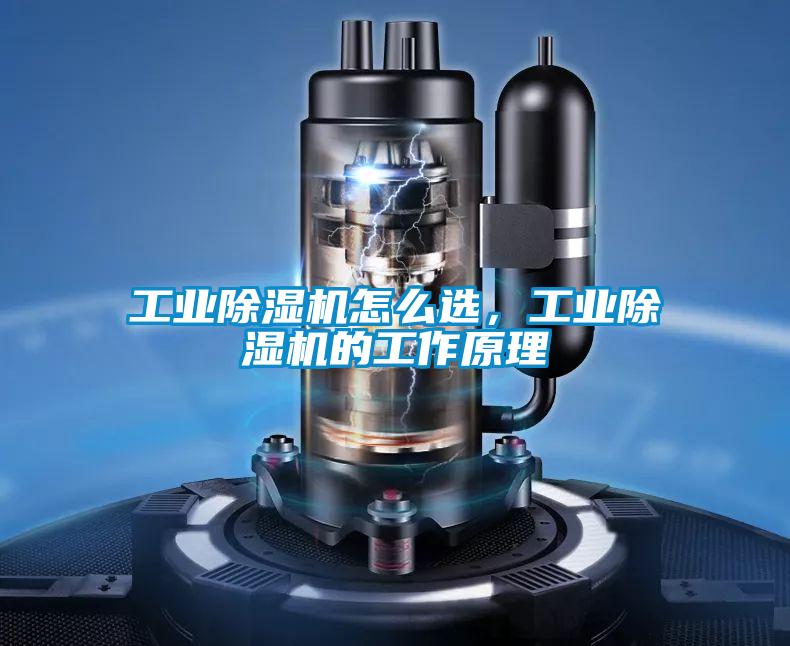 工業除濕機怎么選，工業除濕機的工作原理