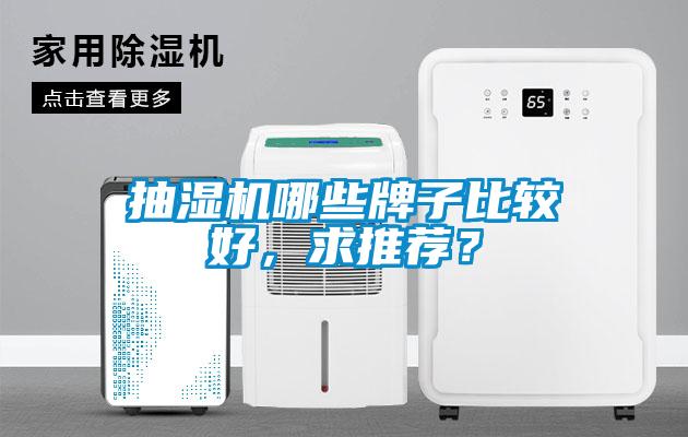 抽濕機哪些牌子比較好,求推薦?