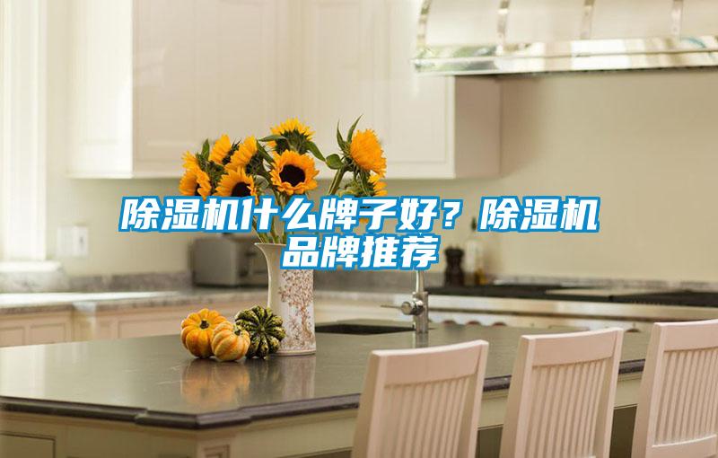 除濕機(jī)什么牌子好？除濕機(jī)品牌推薦