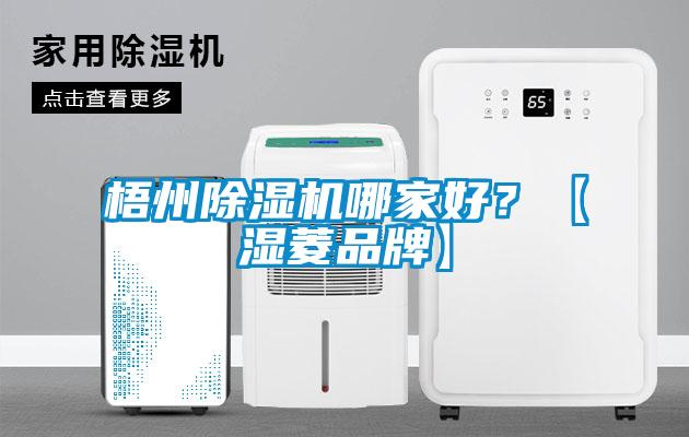 梧州除濕機哪家好?【濕菱品牌】