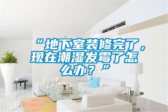 “地下室裝修完了,現在潮濕發霉了怎么辦?”