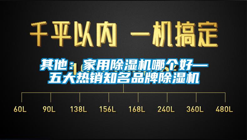 其他:家用除濕機(jī)哪個(gè)好—五大熱銷(xiāo)知名品牌除濕機(jī)