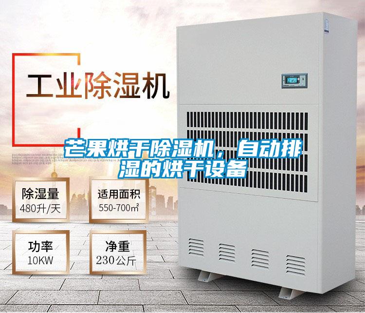 芒果烘干除濕機(jī),自動(dòng)排濕的烘干設(shè)備