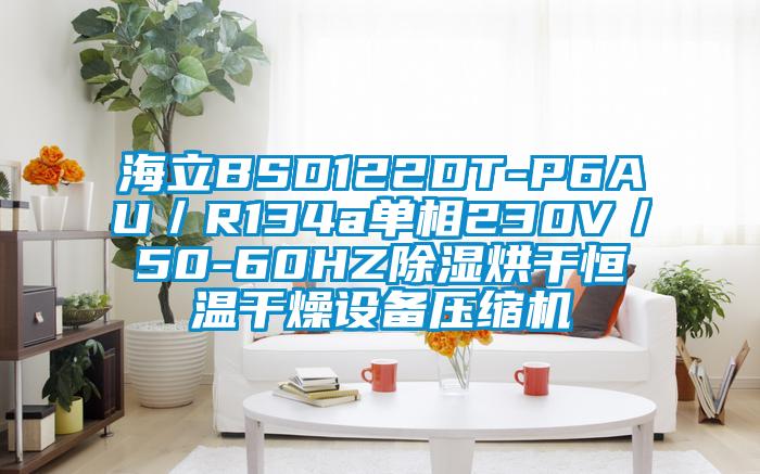 海立BSD122DT-P6AU／R134a單相230V／50-60HZ除濕烘干恒溫干燥設(shè)備壓縮機(jī)
