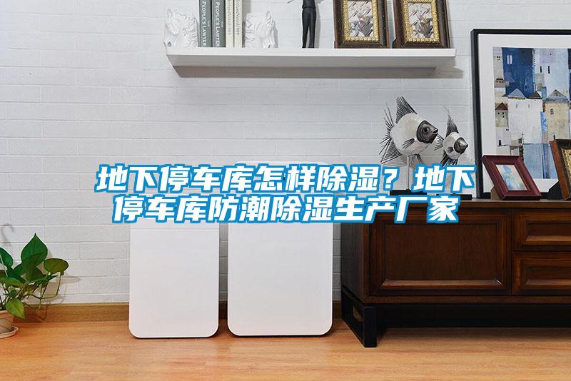 地下停車庫怎樣除濕?地下停車庫防潮除濕生產廠家
