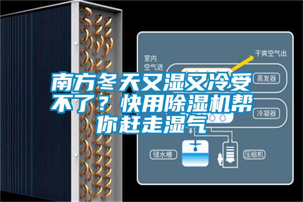 南方冬天又濕又冷受不了？快用除濕機幫你趕走濕氣