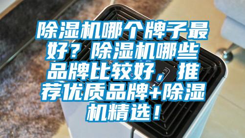 除濕機哪個牌子最好？除濕機哪些品牌比較好，推薦優質品牌+除濕機精選！