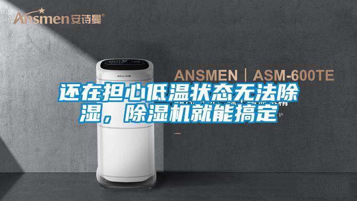 還在擔心低溫狀態無法除濕，除濕機就能搞定