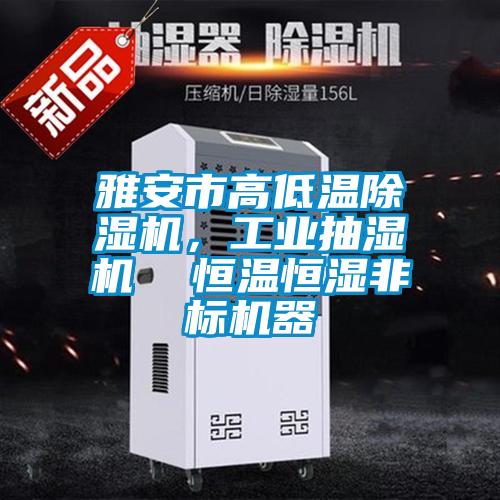 雅安市高低溫除濕機，工業抽濕機  恒溫恒濕非標機器