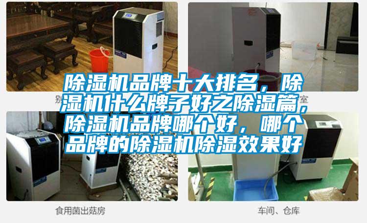 除濕機品牌十大排名，除濕機什么牌子好之除濕篇，除濕機品牌哪個好，哪個品牌的除濕機除濕效果好