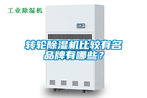 轉(zhuǎn)輪除濕機(jī)比較有名品牌有哪些？