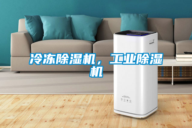 冷凍除濕機,工業除濕機