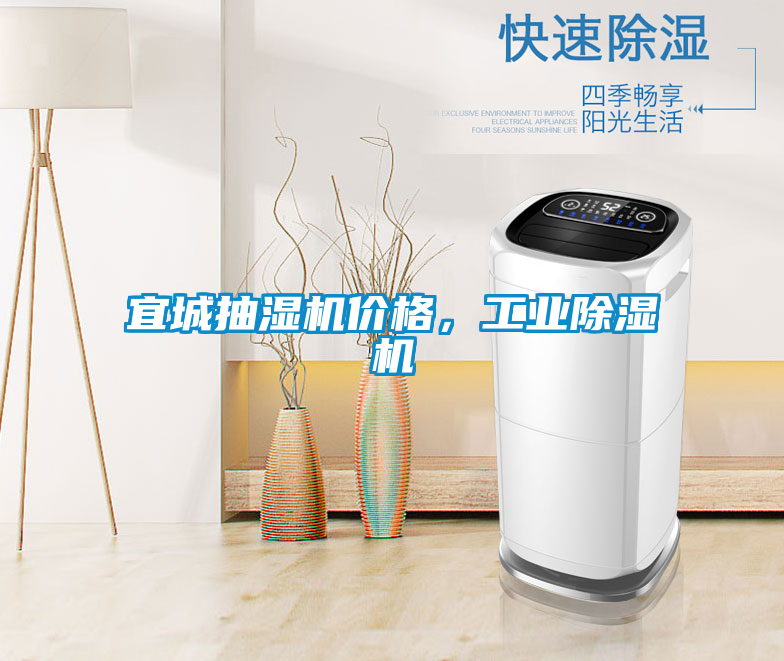 宜城抽濕機價格,工業(yè)除濕機
