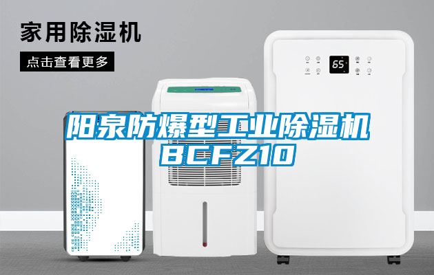 陽泉防爆型工業(yè)除濕機 BCFZ10