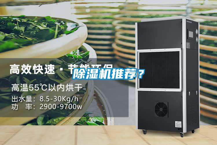 除濕機推薦？