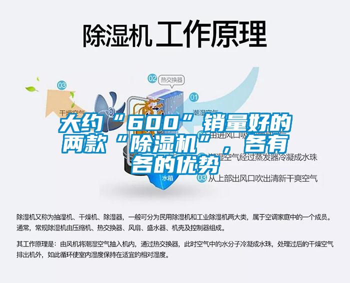 大約“600”銷量好的兩款“除濕機”,各有各的優(yōu)勢