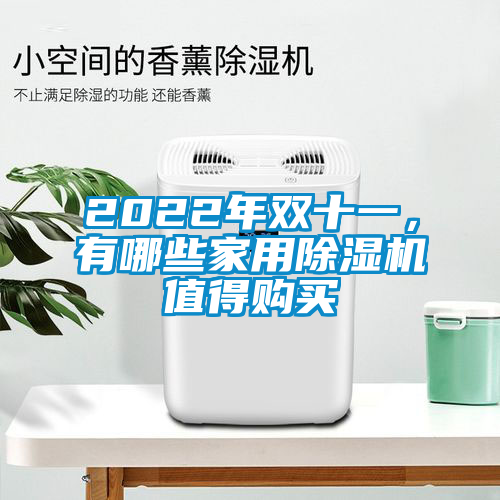 2022年雙十一，有哪些家用除濕機值得購買