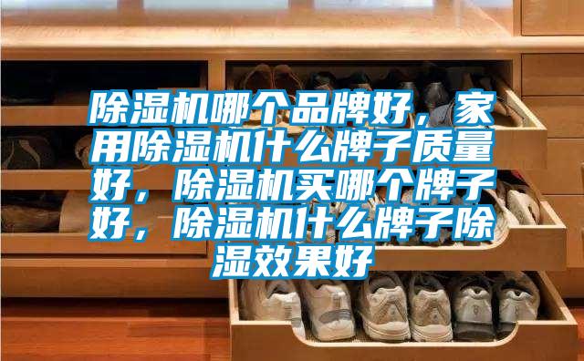 除濕機(jī)哪個(gè)品牌好,家用除濕機(jī)什么牌子質(zhì)量好,除濕機(jī)買(mǎi)哪個(gè)牌子好,除濕機(jī)什么牌子除濕效果好